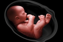 Fertility Safe Pregnancy Fall Pregnant Voodoo Magick Spell - $27.00