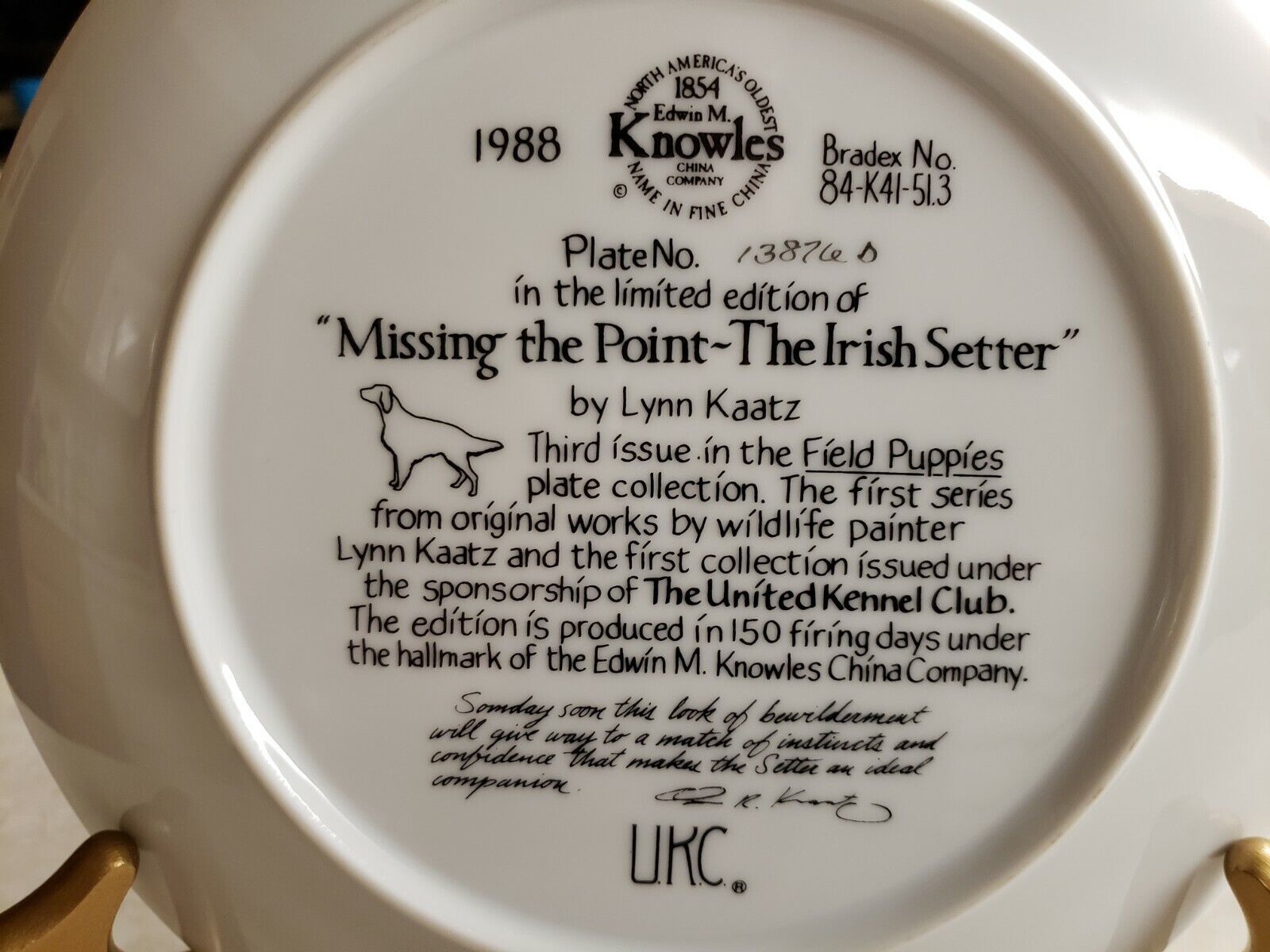 Edwin M Knowles Collector Plate Missing the Point Irish Setter