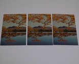 An Adirondack Lake in Autumn Splendor New York Boat Postcard Lot 3 Vinta... - £5.46 GBP