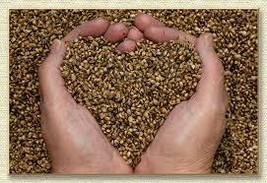 Haunted Emergency 911 SEEDS of LOVE spell cast potent and powerful supernatural - $77.77