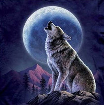 Wolf And Moon Cross Stitch Pattern***LOOK*** - $2.95