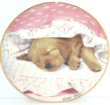 Golden Retriever Collector Plate Puppy Portraits Do Not Disturb Hamilton Dog - $49.95