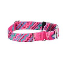 2Hounds Martingale Collar & Leash Welcome Back 80's Small NEW! image 1