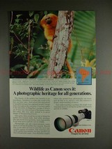1982 Canon F1 F-1 Camera Ad w/ Golden Lion Tamarin!! - $14.99
