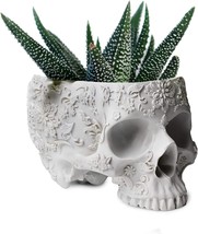 6" Deep Polyresin Skulls Pot For Succulents, Indoor Plants, And Flowers, Skull - $35.97