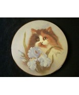 SUMMER SUNSHINE Cat collector plate BOB HARRISON Petals and Purrs CALICO... - $35.00