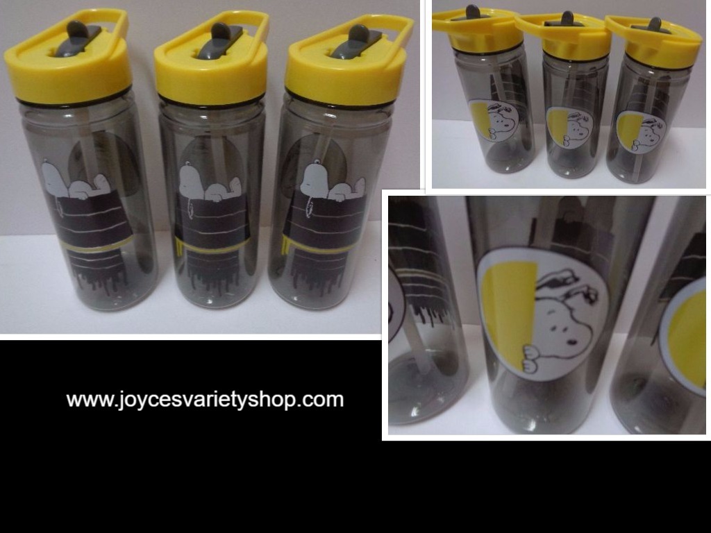 Snoopy snowglobe tumbler