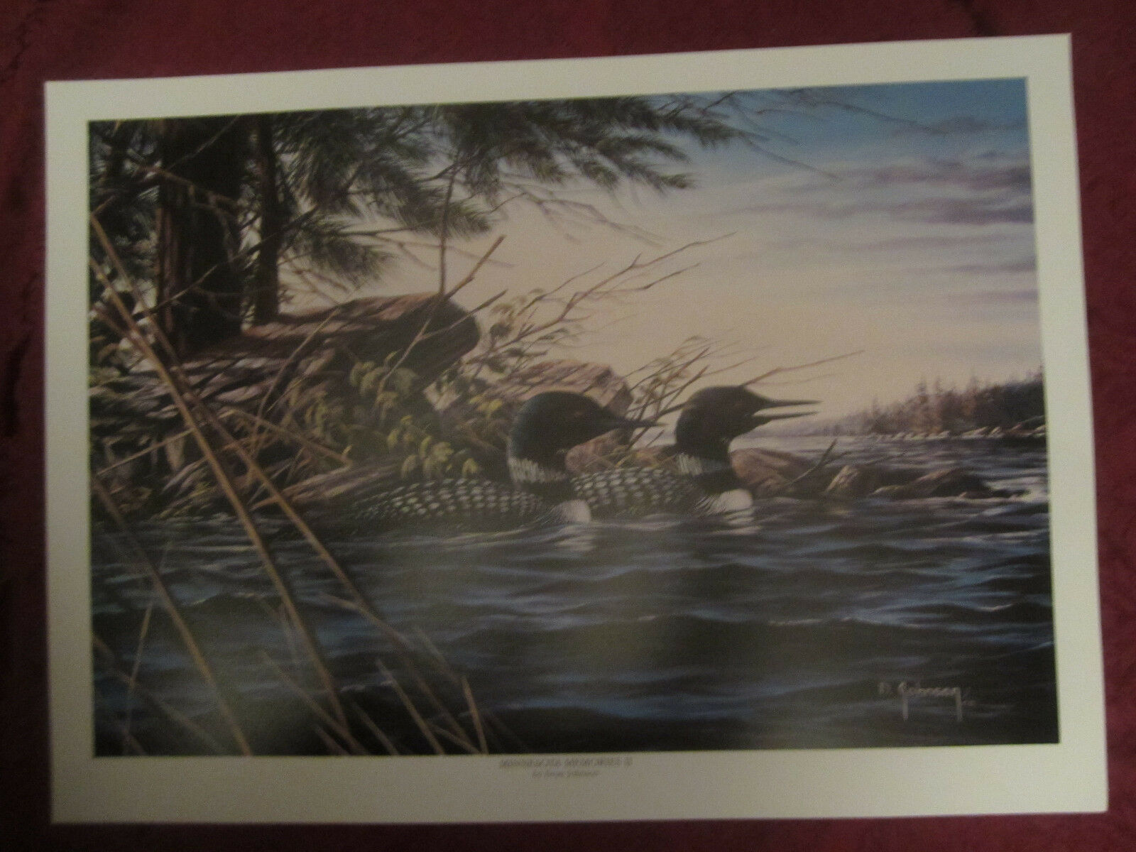 Primary image for LOON wildlife art print MINNESOTA MEMORIES II - Dean Johnson - Unsigned