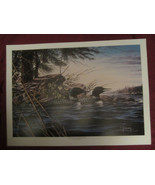 LOON wildlife art print MINNESOTA MEMORIES II - Dean Johnson - Unsigned - $12.00