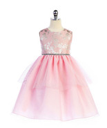 Sweet Pink Embroidered Bodice, Tiered Flower Girl Party Dress, Crayon Ki... - $49.99