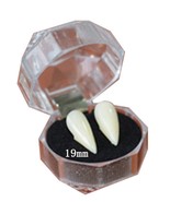 Vampire Dentures Shape Fangs Realistic Deluxe Teeths (without Glue) (19m... - $14.84