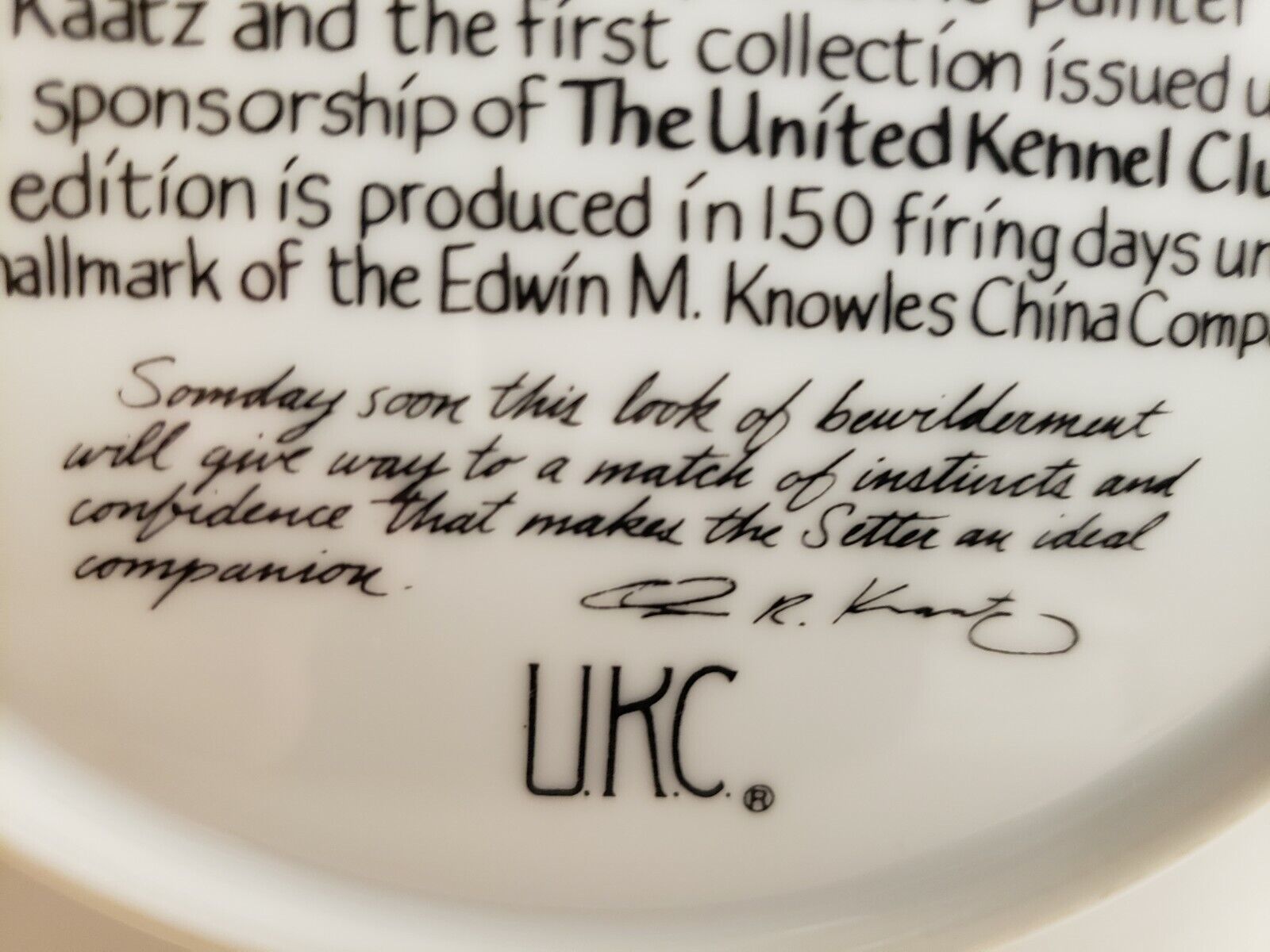 Edwin M Knowles Collector Plate Missing the Point Irish Setter