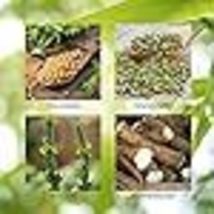 Nature's Sunshine Seasonal Allergy, 100 Capsules | Herbal Respiratory Supplement image 15