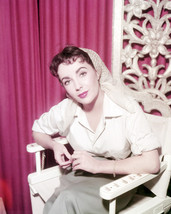 Elizabeth Taylor Classic Hollywood Portrait 1950's for Giant 16x20 Canvas - $69.99