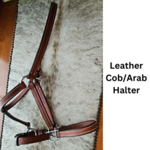 Leather Cob Arab Size Halter Stainless Hardware Doubled and Stitched USED image 1