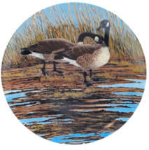 Courtship - Canadian Geese Collector Plate Bradford Exchange 1986 Plate #413B - $12.99