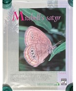 Poster: Mitchell&#39;s Satyr, butterfly, Michigan, 22&quot; x 17&quot; - $14.99