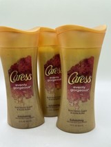 3 Caress Evenly Gorgeous Exfoliating Body Wash Burnt Brown Sugar & Butter 12 oz - $61.70