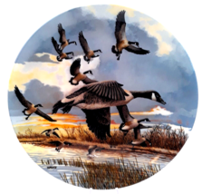 The Landing - Canadian Geese Collector Plate Bradford Exchange 1986 Plate #13303 - $12.99