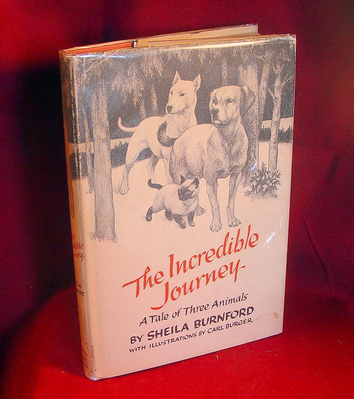 The Incredible Journey By Sheila Burnford In Dust Jacket - 1961 - Books