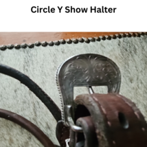 Circle Y Silver Show Halter Horse Size Dark Oil USED image 5