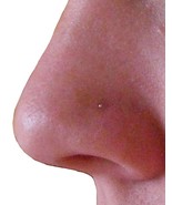 Tiny Nose Stud Genuine 925 Silver 1mm Ball 22g (0.6mm) 6mm Post Ball End... - $3.97