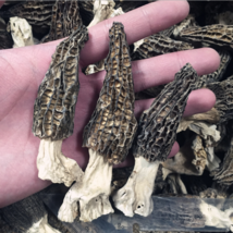 Wild Morchella Whole Dried Mushrooms 500 g (17.63 oz) - $445.00