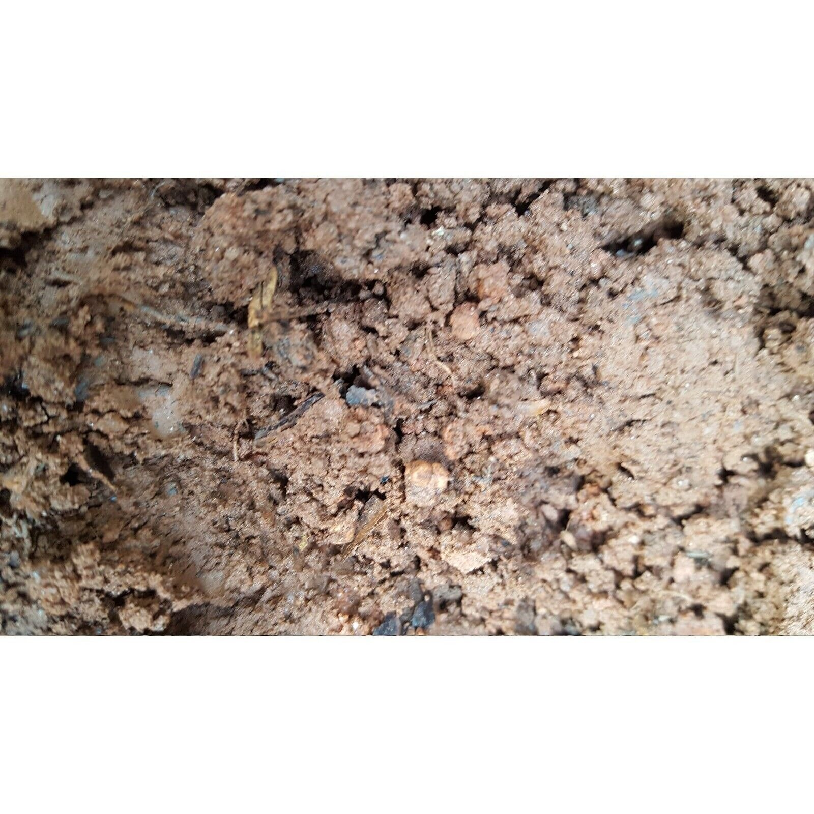 South Red Clay Dirt Soil Nutrient Rich Soil Retains Moisture