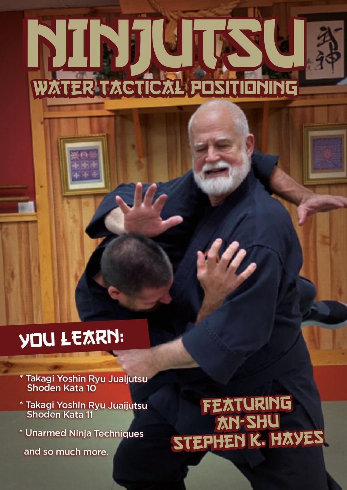 Primary image for Ninjutsu Water Tactical Positioning DVD Stephen Hayes takagi yoshin ryu juaijuts