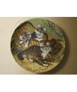 GONE FISHING: MAINE COONS Cat collector plate Amy Brackenbury CAT TALES - $29.99