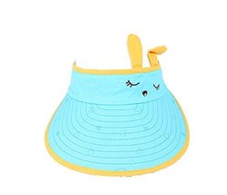Children Sun Protection Hat Lovely Eyes Big Cap Without Top 2-4 Years(Blue)