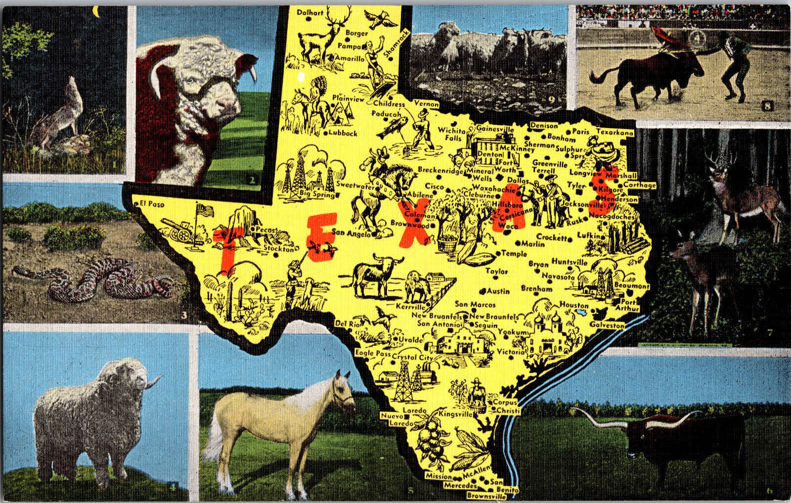 Texas Landmarks, Animals And Map Greetings, Vintage Postcard B12 Non