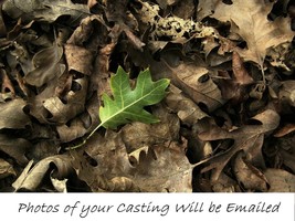 Turn Over a New Leaf SPELL.Pics of Casting Incl. For Fresh Starts/Bad Ha... - $22.60