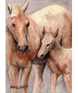 ACEO Original Painting Horse Foal animals pets farm equine baby  filly - $16.00