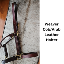 Weaver Cob - Arab Leather Halter Brass Fittings med oil with chain lead USED image 1