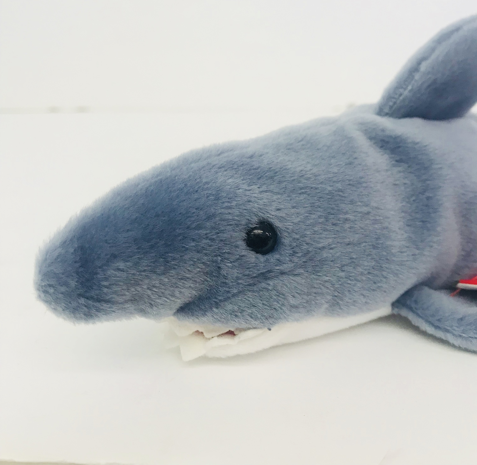 Crunch Shark Toy