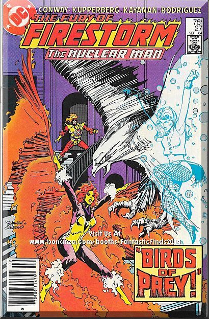 The Fury Of Firestorm #27 (1984) *Copper Age / DC Comics / Black Bison*