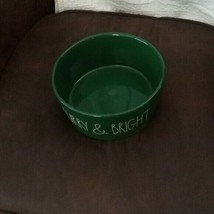 Rae Dunn Large Size Green Furry &amp; Bright Dog Bowl - $14.28