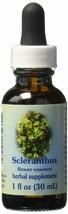 Flower Essence Services Dropper Herbal Supplements, Scleranthus, 1 Ounce - $14.73