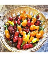 Red Hot Peter Pepper Vegetables &amp; Fruit Seeds (Pepper Mix), 200 Seeds  - $12.19