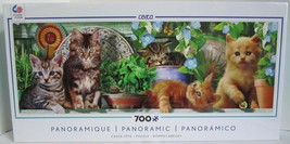 Ceaco 700 Piece Jigsaw Puzzle Panoramic 5 KITTENS ON SHELF Herb &amp; Flower... - $34.55