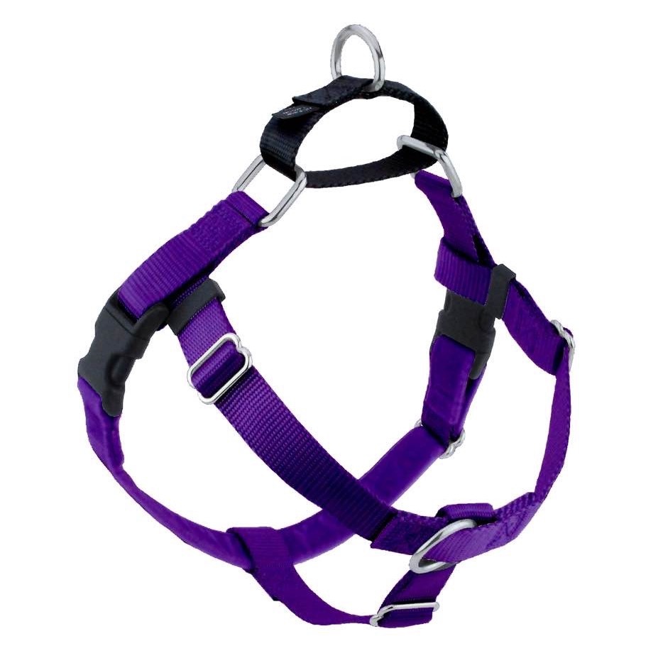 Purple harness