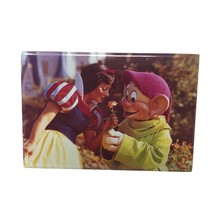 VTG Disney ATA-BOY Disneyland Snow White Dopey Magic Kingdom Fridge Magnet 3" - $10.25