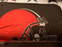 Cleveland Browns Blanket/plastic carrying case - $26.00