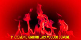 Pheromone Ignition Dark Voodoo Conure - Haunted - $59.00