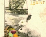 Vtg Postcard 1914 A Happy Easter Bunny Rabbit Egg Basket Hand Colored  - $13.42