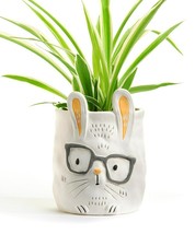 Bunny w/Glasses Pet Planter Adopt Dexter Plant Parent Buddies Ceramic Drainage