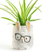 Bunny w/Glasses Pet Planter Adopt Dexter Plant Parent Buddies Ceramic Dr... - $29.69