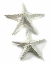 Large Starfish Figurines Set  2 White Poly Stone Nautical Beach 15" and 11" Long
