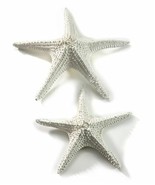 Large Starfish Figurines Set  2 White Poly Stone Nautical Beach 15&quot; and ... - $89.09